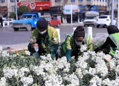 چهره بهاری شهر سمنان با کاشت 29 هزار گل
